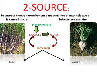 2-SOURCE:
Le sucre se trouve naturellement dans certaines plantes tels que :
la canne à sucre la betterave sucriére
PHOTOSYNTHESE
FRUCTOSE GLUCOSE
SACCHAROSE
La racineLa tige
 