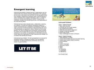 Learnscaping133