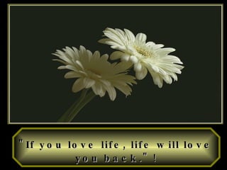 &quot;If you love life, life will love you back.&quot;   ! 