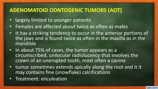 ADENOMATOID ODNTOGENIC TUMORS (AOT)
• largely limited to younger patients
• Females are affected about twice as often as males
• It has a striking tendency to occur in the anterior portions of
the jaws and is found twice as often in the maxilla as in the
mandible
• In about 75% of cases, the tumor appears as a
circumscribed, unilocular radiolucency that involves the
crown of an unerupted tooth, most often a canine
• tumor sometimes extends apically along the root and it it
may contains fine (snowflake) calcifications
• Treatment: enculeation
 
