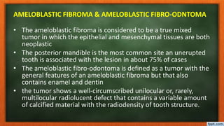 AMELOBLASTIC FIBROMA & AMELOBLASTIC FIBRO-ODNTOMA
• The ameloblastic fibroma is considered to be a true mixed
tumor in which the epithelial and mesenchymal tissues are both
neoplastic
• The posterior mandible is the most common site an unerupted
tooth is associated with the lesion in about 75% of cases
• The ameloblastic fibro-odontoma is defined as a tumor with the
general features of an ameloblastic fibroma but that also
contains enamel and dentin
• the tumor shows a well-circumscribed unilocular or, rarely,
multilocular radiolucent defect that contains a variable amount
of calcified material with the radiodensity of tooth structure.
 