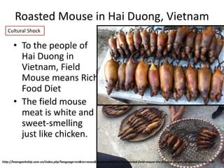 Roasted Mouse in Hai Duong, Vietnam
• To the people of
Hai Duong in
Vietnam, Field
Mouse means Rich
Food Diet
• The field mouse
meat is white and
sweet-smelling
just like chicken.
http://hoanganhship.com.vn/index.php?language=en&nv=news&op=print/NEWS/The-roasted-field-mouse-the-feature-of-special-culinary-culture-31
Cultural Shock
 
