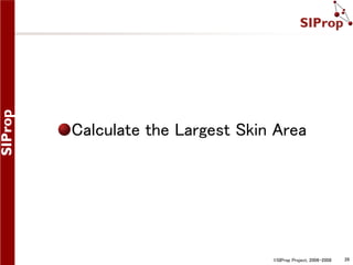 Calculate the Largest Skin Area

©SIProp Project, 2006-2008

26

 