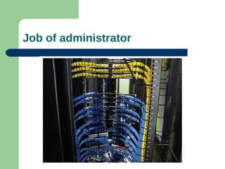 Job of administrator
 