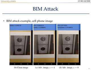 41
CS 502, Fall 2020
BIM Attack
• BIM attack example, cell phone image
 