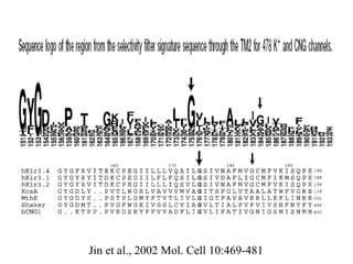 Jin et al., 2002 Mol. Cell 10:469-481 