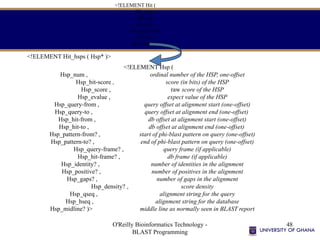 O'Reilly Bioinformatics Technology -
BLAST Programming
48
<!ELEMENT Hit (
Hit_num ,
Hit_id ,
Hit_def ,
Hit_accession ,
Hit_len ,
Hit_hsps? )>
<!ELEMENT Hsp (
Hsp_num , ordinal number of the HSP, one-offset
Hsp_bit-score , score (in bits) of the HSP
Hsp_score , raw score of the HSP
Hsp_evalue , expect value of the HSP
Hsp_query-from , query offset at alignment start (one-offset)
Hsp_query-to , query offset at alignment end (one-offset)
Hsp_hit-from , db offset at alignment start (one-offset)
Hsp_hit-to , db offset at alignment end (one-offset)
Hsp_pattern-from? , start of phi-blast pattern on query (one-offset)
Hsp_pattern-to? , end of phi-blast pattern on query (one-offset)
Hsp_query-frame? , query frame (if applicable)
Hsp_hit-frame? , db frame (if applicable)
Hsp_identity? , number of identities in the alignment
Hsp_positive? , number of positives in the alignment
Hsp_gaps? , number of gaps in the alignment
Hsp_density? , score density
Hsp_qseq , alignment string for the query
Hsp_hseq , alignment string for the database
Hsp_midline? )> middle line as normally seen in BLAST report
<!ELEMENT Hit_hsps ( Hsp* )>
 