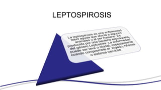 LEPTOSPIROSIS
 