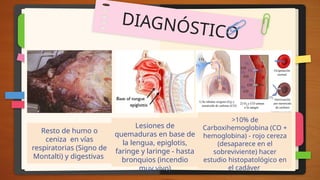 DIAGNÓSTICO
Resto de humo o
ceniza en vías
respiratorias (Signo de
Montalti) y digestivas
Lesiones de
quemaduras en base de
la lengua, epiglotis,
faringe y laringe - hasta
bronquios (incendio
muy vivo)
>10% de
Carboxihemoglobina (CO +
hemoglobina) - rojo cereza
(desaparece en el
sobreviviente) hacer
estudio histopatológico en
el cadáver
 