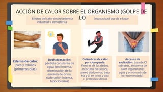 ACCIÓN DE CALOR SOBRE EL ORGANISMO (GOLPE DE
CALOR)
Efectos del calor de procedencia
industrial o atmosférica
Edema de calor:
pies y tobillos
(primeros días)
Deshidratación:
pérdida constante de
agua (sed intensa,
disminución de la
emisión de orina,
sudoración intensa,
hipocloremia)
Calambres de calor
por cloropenia:
flexores de los dedos,
músculos de la boca,
pared abdominal, bajo
Na y Cl en orina y alta
c. proteinas séricas
Accesos de
excitación: baja de Cl
(obreros, ambiente de
calor ingieren más
agua y orinan más de
lo recomendado)
Incapacidad que da e lugar
 