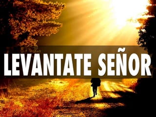 Levántate Señor