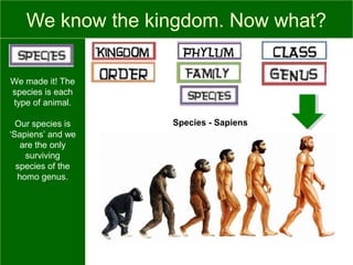 We know the kingdom. Now what?
We made it! The
species is each
type of animal.
Our species is
‘Sapiens’ and we
are the only
surviving
species of the
homo genus.
Species - Sapiens
 