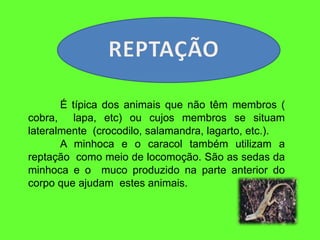 É típica dos animais que não têm membros (
cobra, lapa, etc) ou cujos membros se situam
lateralmente (crocodilo, salamandra, lagarto, etc.).
A minhoca e o caracol também utilizam a
reptação como meio de locomoção. São as sedas da
minhoca e o muco produzido na parte anterior do
corpo que ajudam estes animais.
 