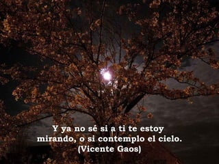 Y ya no sé si a ti te estoy
mirando, o si contemplo el cielo.
(Vicente Gaos)
 