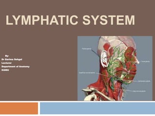 LYMPHATIC SYSTEM
By-
Dr Garima Sehgal
Lecturer
Department of Anatomy
KGMU
 