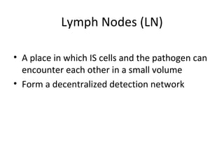 Lymph Nodes (LN) A place in which IS cells and the pathogen can encounter each other in a small volume Form a decentralized detection network 