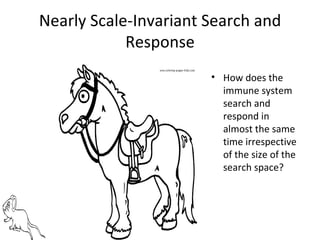 Nearly Scale-Invariant Search and Response How does the immune system search and respond in almost the same time irrespective of the size of the search space? 