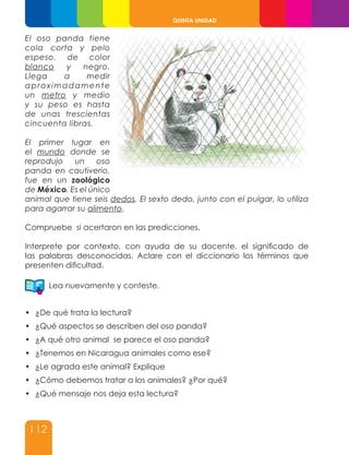 112
QUINTA UNIDAD
El oso panda tiene
cola corta y pelo
espeso, de color
blanco y negro.
Llega a medir
aproximadamente
un metro y medio
y su peso es hasta
de unas trescientas
cincuenta libras.
El primer lugar en
el mundo donde se
reprodujo un oso
panda en cautiverio,
fue en un zoológico
de México. Es el único
animal que tiene seis dedos. El sexto dedo, junto con el pulgar, lo utiliza
para agarrar su alimento.
Compruebe si acertaron en las predicciones.
Interprete por contexto, con ayuda de su docente, el significado de
las palabras desconocidas. Aclare con el diccionario los términos que
presenten dificultad.
Lea nuevamente y conteste.
•	 ¿De qué trata la lectura?
•	 ¿Qué aspectos se describen del oso panda?
•	 ¿A qué otro animal se parece el oso panda?
•	 ¿Tenemos en Nicaragua animales como ese?
•	 ¿Le agrada este animal? Explique
•	 ¿Cómo debemos tratar a los animales? ¿Por qué?
•	 ¿Qué mensaje nos deja esta lectura?
 