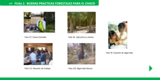Foto I8 : Apicultura a monte
>> Ficha 1: BUENAS PRACTICAS FORESTALES PARA EL CHACO
Foto I9: Cosecha de algarroba
Foto I10: Algarrobo blancoFoto I11: Reunión de trabajo
Foto S7: Chaco Húmedo
 
