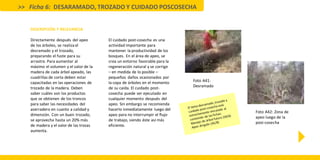 DESCRIPCIÓN Y RELEVANCIA
Directamente después del apeo
de los árboles, se realiza el
desramado y el trozado,
preparando el fuste para su
arrastre. Para aumentar al
máximo el volumen y el valor de la
madera de cada árbol apeado, las
cuadrillas de corta deben estar
capacitadas en las operaciones de
trozado de la madera. Deben
saber cuáles son los productos
que se obtienen de los troncos
para saber las necesidades del
aserradero en cuanto a calidad y
dimensión. Con un buen trozado,
se aprovecha hasta un 20% más
de madera y el valor de las trozas
aumenta.
El cuidado post-cosecha es una
actividad importante para
mantener la productividad de los
bosques. En el área de apeo, se
crea un entorno favorable para la
regeneración natural y se corrige
– en medida de lo posible –
pequeños daños ocasionados por
la copa de árboles en el momento
de su caída. El cuidado post-
cosecha puede ser ejecutado en
cualquier momento después del
apeo. Sin embargo se recomienda
hacerlo inmediatamente luego del
apeo para no interrumpir el flujo
de trabajo, siendo éste así más
eficiente.
>> Ficha 6: DESARAMADO, TROZADO Y CUIDADO POSCOSECHA
Foto A41:
Desramado
Foto A42: Zona de
apeo luego de la
post-cosecha
 