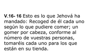 V.16- 16 Esto es lo que Jehová ha
mandado: Recoged de él cada uno
según lo que pudiere comer; un
gomer por cabeza, conforme al
número de vuestras personas,
tomaréis cada uno para los que
están en su tienda.
 