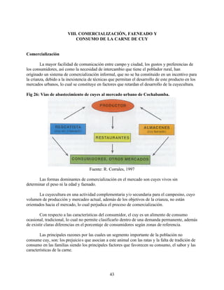 43
VIII. COMERCIALIZACIÓN, FAENEADO Y
CONSUMO DE LA CARNE DE CUY
Comercialización
La mayor facilidad de comunicación entre campo y ciudad, los gustos y preferencias de
los consumidores, así como la necesidad de intercambio que tiene el poblador rural, han
originado un sistema de comercialización informal, que no se ha constituido en un incentivo para
la crianza, debido a la inexistencia de técnicas que permitan el desarrollo de este producto en los
mercados urbanos, lo cual se constituye en factores que retardan el desarrollo de la cuyecultura.
Fig 26: Vias de abastecimiento de cuyes al mercado urbano de Cochabamba.
Fuente: R. Corrales, 1997
Las formas dominantes de comercialización en el mercado son cuyes vivos sin
determinar el peso ni la edad y faenado.
La cuyecultura en una actividad complementaria y/o secundaria para el campesino, cuyo
volumen de producción y mercadeo actual, además de los objetivos de la crianza, no están
orientados hacia el mercado, lo cual perjudica el proceso de comercialización.
Con respecto a las características del consumidor, el cuy es un alimento de consumo
ocasional, tradicional, lo cual no permite clasificarlo dentro de una demanda permanente, además
de existir claras diferencias en el porcentaje de consumidores según zonas de referencia.
Las principales razones por las cuales un segmento importante de la población no
consume cuy, son: los prejuicios que asocian a este animal con las ratas y la falta de tradición de
consumo en las familias siendo los principales factores que favorecen su consumo, el sabor y las
características de la carne.
 