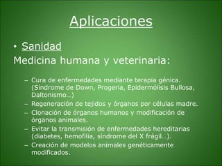 Aplicaciones
• Sanidad
Medicina humana y veterinaria:
– Cura de enfermedades mediante terapia génica.
(Síndrome de Down, Progeria, Epidermólisis Bullosa,
Daltonismo…)
– Regeneración de tejidos y órganos por células madre.
– Clonación de órganos humanos y modificación de
órganos animales.
– Evitar la transmisión de enfermedades hereditarias
(diabetes, hemofilia, síndrome del X frágil…).
– Creación de modelos animales genéticamente
modificados.
 
