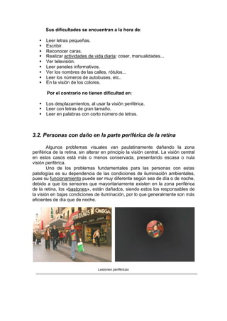 Manual De Accesibilidad
