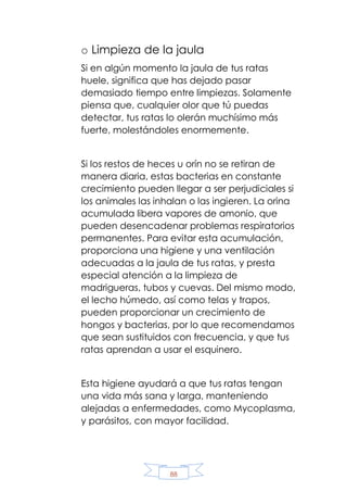 88
o Limpieza de la jaula
Si en algún momento la jaula de tus ratas
huele, significa que has dejado pasar
demasiado tiempo entre limpiezas. Solamente
piensa que, cualquier olor que tú puedas
detectar, tus ratas lo olerán muchísimo más
fuerte, molestándoles enormemente.
Si los restos de heces u orín no se retiran de
manera diaria, estas bacterias en constante
crecimiento pueden llegar a ser perjudiciales si
los animales las inhalan o las ingieren. La orina
acumulada libera vapores de amonio, que
pueden desencadenar problemas respiratorios
permanentes. Para evitar esta acumulación,
proporciona una higiene y una ventilación
adecuadas a la jaula de tus ratas, y presta
especial atención a la limpieza de
madrigueras, tubos y cuevas. Del mismo modo,
el lecho húmedo, así como telas y trapos,
pueden proporcionar un crecimiento de
hongos y bacterias, por lo que recomendamos
que sean sustituidos con frecuencia, y que tus
ratas aprendan a usar el esquinero.
Esta higiene ayudará a que tus ratas tengan
una vida más sana y larga, manteniendo
alejadas a enfermedades, como Mycoplasma,
y parásitos, con mayor facilidad.
 