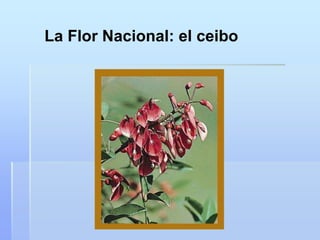 La Flor Nacional: el ceibo
 