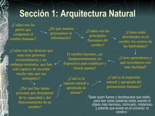 Sección 1: Arquitectura Natural “ Seas quien fueres y dondequiera que estés, para leer estas palabras estás usando el objeto más hermoso, intrincado, misterioso y potente que existe en el universo: tu cerebro.” ¿Cuáles son las partes que componen el cerebro humano? ¿De qué manera procesamos la información? ¿Cuáles son las principales funciones del cerebro? ¿Cómo están distribuidos en el cerebro los centros de las habilidades? ¿Cómo aprendemos y qué recordamos con más facilidad? El cerebro humano, ¿es fundamentalmente un dispositivo para establecer y buscar pautas? ¿Cuáles son las técnicas que usan esas personas extraordinarias y sin embargo normales, que han sido capaces de recordar mucho más que sus semejantes? ¿Por qué hay tantas personas que desesperan de la capacidad y del funcionamiento de su cerebro? ¿Cuál es la manera natural y apropiada de pensar? ¿Cuál es la expresión natural y apropiada del pensamiento humano? 