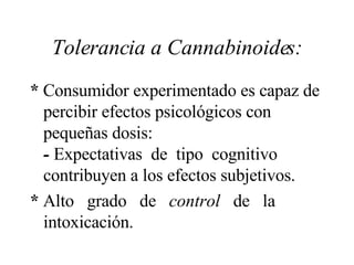 Tolerancia a Cannabinoides: *  Consumidor experimentado es capaz de percibir efectos psicológicos con pequeñas dosis:  -  Expectativas  de  tipo  cognitivo contribuyen a los efectos subjetivos.  *  Alto  grado  de  control   de  la intoxicación. 