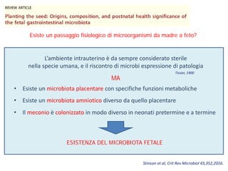 Esiste un passaggio fisiologico di microorganismi da madre a feto?
L’ambiente intrauterino è da sempre considerato sterile
nella specie umana, e il riscontro di microbi espressione di patologia
• Esiste un microbiota placentare con specifiche funzioni metaboliche
• Il meconio è colonizzato in modo diverso in neonati pretermine e a termine
Stinson et al, Crit Rev Microbiol 43,352,2016.
MA
ESISTENZA DEL MICROBIOTA FETALE
• Esiste un microbiota amniotico diverso da quello placentare
Tissier, 1900
 