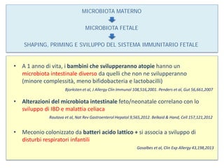 MICROBIOTA MATERNO
MICROBIOTA FETALE
SHAPING, PRIMING E SVILUPPO DEL SISTEMA IMMUNITARIO FETALE
• A 1 anno di vita, i bambini che svilupperanno atopie hanno un
microbiota intestinale diverso da quelli che non ne svilupperanno
(minore complessità, meno bifidobacteria e lactobacilli)
• Alterazioni del microbiota intestinale feto/neonatale correlano con lo
sviluppo di IBD e malattia celiaca
• Meconio colonizzato da batteri acido lattico + si associa a sviluppo di
disturbi respiratori infantili
Bjorksten et al, J Allergy Clin Immunol 108,516,2001. Penders et al, Gut 56,661,2007
Rautava et al, Nat Rev Gastroenterol Hepatol 9,565,2012. Belkaid & Hand, Cell 157,121,2012
Gosalbes et al, Clin Exp Allergy 43,198,2013
 