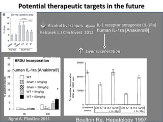 Potential therapeutic ttaarrggeettss iinn tthhee ffuuttuurree 
IL-1 receptor antagonist (IL-1Ra) 
human IL-1ra [Anakinra®] 
↓↓ AAllccoohhooll lliivveerr iinnjjuurryy 
Petrasek J, J Clin Invest 2012 
BBRRDDUU IInnccoorrppoorraattiioonn 
human IL-1ra [Anakinra®] 
↑↑ LLiivveerr rreeggeenneerraattiioonn 
Sgroi A, PlosOne 2011 Boulton Ra, Hepatology 1997 
 