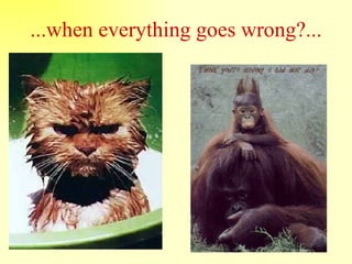 ...when everything goes wrong?... 