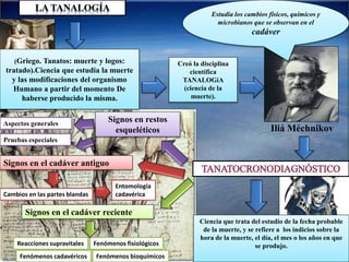 Estudia los cambios físicos, químicos y 
Iliá Méchnikov 
Creó la disciplina 
científica 
TANALOGíA 
(ciencia de la 
muerte). 
microbianos que se observan en el 
cadáver 
(Griego. Tanatos: muerte y logos: 
tratado).Ciencia que estudia la muerte 
y las modificaciones del organismo 
Humano a partir del momento De 
haberse producido la misma. 
Ciencia que trata del estudio de la fecha probable 
de la muerte, y se refiere a los indicios sobre la 
hora de la muerte, el día, el mes o los años en que 
se produjo. 
Signos en restos 
esqueléticos 
Aspectos generales 
Pruebas especiales 
Signos en el cadáver antiguo 
Cambios en las partes blandas 
Entomología 
cadavérica 
Signos en el cadáver reciente 
Reacciones supravitales Fenómenos fisiológicos 
Fenómenos cadavéricos Fenómenos bioquímicos 
 