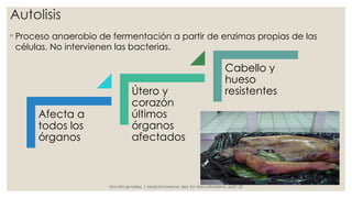 Autolisis
◦ Proceso anaerobio de fermentación a partir de enzimas propias de las
células. No intervienen las bacterias.
Afecta a
todos los
órganos
Útero y
corazón
últimos
órganos
afectados
Cabello y
hueso
resistentes
Grandini gonzález, J. Medicina forence. 3ed. Ed. ManualModerno. pp21-22
 