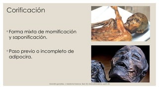 Corificación
◦ Forma mixta de momificación
y saponificación.
◦ Paso previo o incompleto de
adipocira.
Grandini gonzález, J. Medicina forence. 3ed. Ed. ManualModerno. pp21-22
 