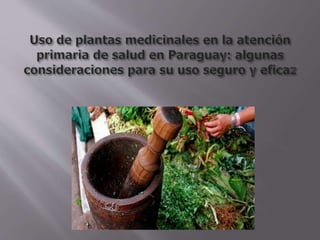 Medicina Tradicional y Cultura Paraguaya1.5.pptx