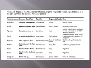 Medicina Tradicional y Cultura Paraguaya1.5.pptx