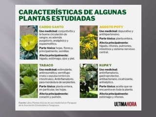 Medicina Tradicional y Cultura Paraguaya1.5.pptx