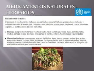 Medicina Tradicional y Cultura Paraguaya1.5.pptx