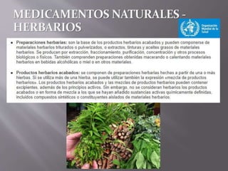 Medicina Tradicional y Cultura Paraguaya1.5.pptx