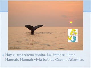 Hay es una sirena bonita. La sirena se llama
Hannah. Hannah vivia bajo de Oceano Atlantico.
 
