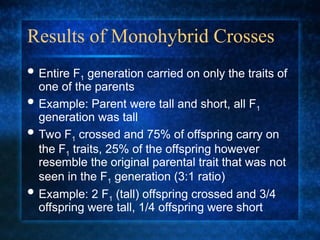 Results of Monohybrid Crosses
 Entire F1 generation carried on only the traits of
one of the parents
 Example: Parent were tall and short, all F1
generation was tall
 Two F1 crossed and 75% of offspring carry on
the F1 traits, 25% of the offspring however
resemble the original parental trait that was not
seen in the F1 generation (3:1 ratio)
 Example: 2 F1 (tall) offspring crossed and 3/4
offspring were tall, 1/4 offspring were short
 