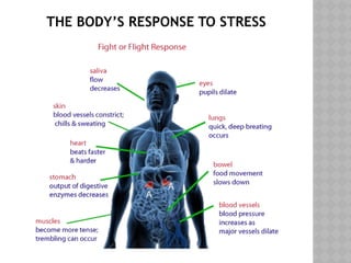 THE BODY’S RESPONSE TO STRESS
 
