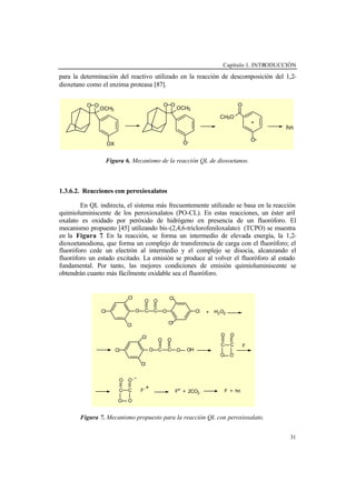 Capítulo 1. INTRODUCCIÓN
31
para la determinación del reactivo utilizado en la reacción de descomposición del 1,2-
dioxetano como el enzima proteasa [87].
Figura 6. Mecanismo de la reacción QL de dioxoetanos.
1.3.6.2. Reacciones con peroxioxalatos
En QL indirecta, el sistema más frecuentemente utilizado se basa en la reacción
quimioluminiscente de los peroxioxalatos (PO-CL). En estas reacciones, un éster aril
oxalato es oxidado por peróxido de hidrógeno en presencia de un fluoróforo. El
mecanismo propuesto [45] utilizando bis-(2,4,6-triclorofeniloxalato) (TCPO) se muestra
en la Figura 7. En la reacción, se forma un intermedio de elevada energía, la 1,2-
dioxoetanodiona, que forma un complejo de transferencia de carga con el fluoróforo; el
fluoróforo cede un electrón al intermedio y el complejo se disocia, alcanzando el
fluoróforo un estado excitado. La emisión se produce al volver el fluoróforo al estado
fundamental. Por tanto, las mejores condiciones de emisión quimioluminiscente se
obtendrán cuanto más fácilmente oxidable sea el fluoróforo.
Figura 7. Mecanismo propuesto para la reacción QL con peroxioxalato.
Cl
Cl
Cl
O C
O
C
O
O
Cl
Cl
Cl
+ H2O2
Cl
Cl
Cl
O C
O
C
O
O OH
O
C
O
C
O O
F
O
C
O
C
O O
.-
F
.+
F* + 2CO2
F + hν
O-
O
CH3O
*
O O
OCH3
OX
O O
OCH3
O-
hν
 