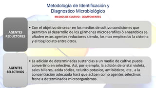 Metodología de Identificación y
Diagnostico Microbiológico
MEDIOS DE CULTIVO - COMPONENTES
• Con el objetivo de crear en los medios de cultivo condiciones que
permitan el desarrollo de los gérmenes microaerofilos ò anaerobios se
añaden estos agentes reductores siendo, los mas empleados la cisteína
y el tioglicolato entre otros.
AGENTES
REDUCTORES
• La adición de determinadas sustancias a un medio de cultivo puede
convertirlo en selectivo. Así, por ejemplo, la adición de cristal violeta,
sales biliares, azida sódica, telurito potasico, antibióticos, etc., a la
concentración adecuada hará que actúen como agentes selectivos
frene a determinados microorganismos.
AGENTES
SELECTIVOS
 