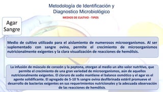 Metodología de Identificación y
Diagnostico Microbiológico
MEDIOS DE CULTIVO - TIPOS
Agar
Sangre
Medio de cultivo utilizado para el aislamiento de numerosos microorganismos. Al ser
suplementado con sangre ovina, permite el crecimiento de microorganismos
nutricionalmente exigentes y la clara visualización de reacciones de hemólisis.
La infusión de músculo de corazón y la peptona, otorgan al medio un alto valor nutritivo, que
permite el crecimiento de una gran variedad de microorganismos, aún de aquellos
nutricionalmente exigentes. El cloruro de sodio mantiene el balance osmótico y el agar es el
agente solidificante. El agregado de 5-10 % sangre ovina desfibrinada estéril promueve el
desarrollo de bacterias exigentes en sus requerimientos nutricionales y la adecuada observación
de las reacciones de hemólisis.
 